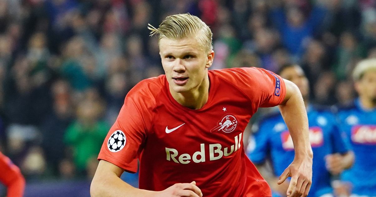 直接决定纽 直接决定纽